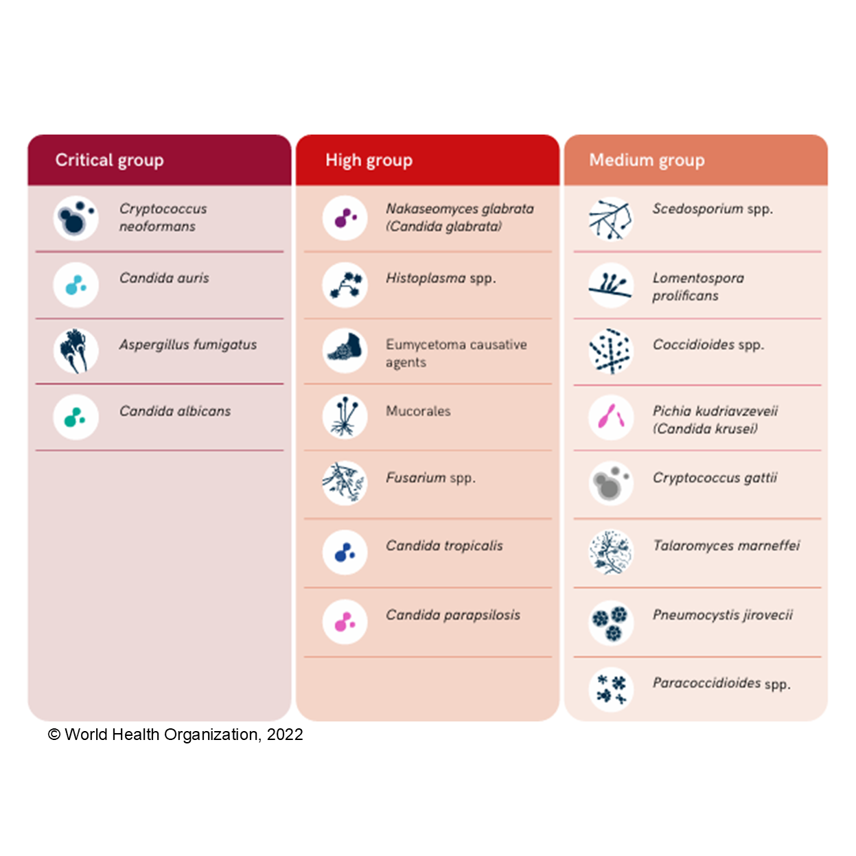 Figure 1. WHO Fungal Pathogen Priority List. World Health Otganization, 2022