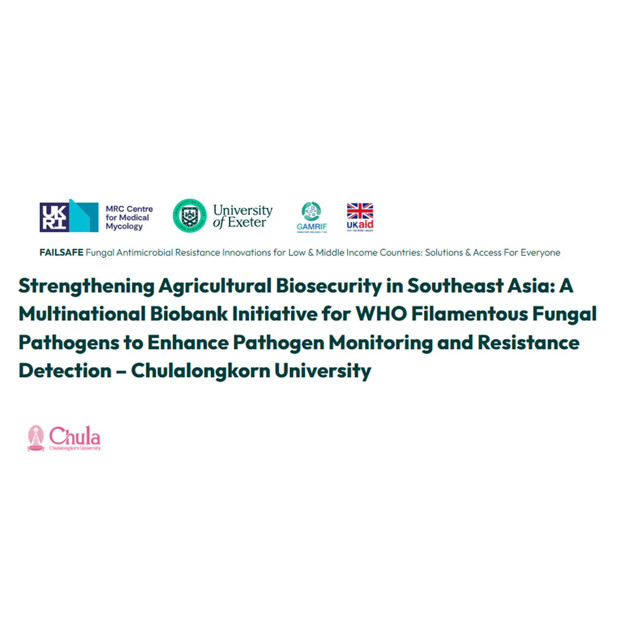 Our Research