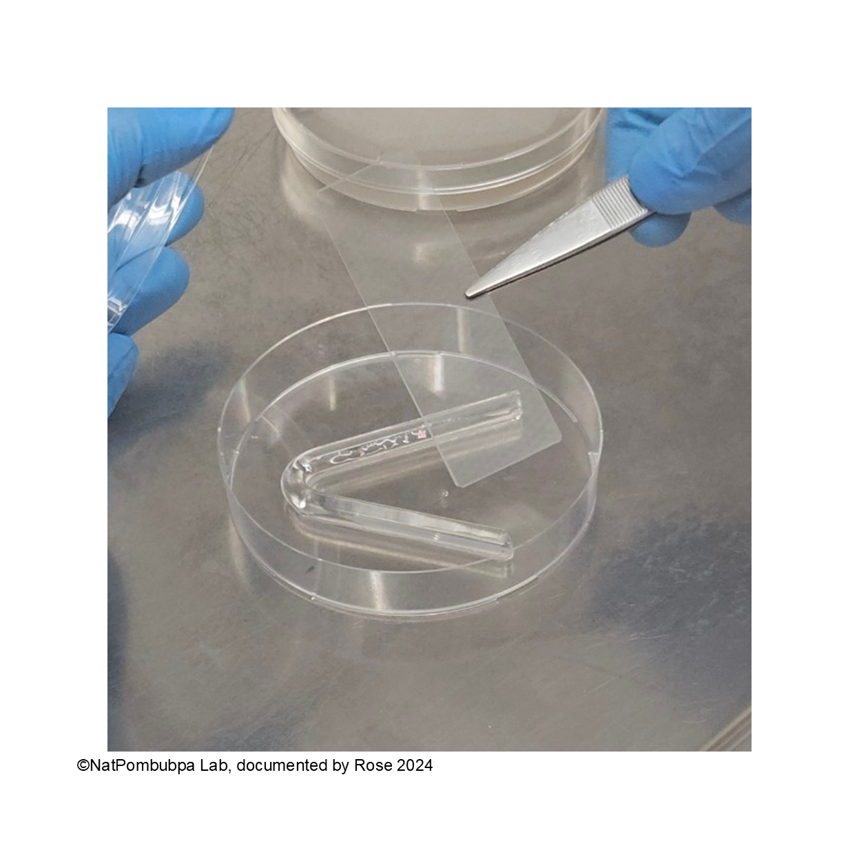 Figure 1. NatPombubpa Lab documentation