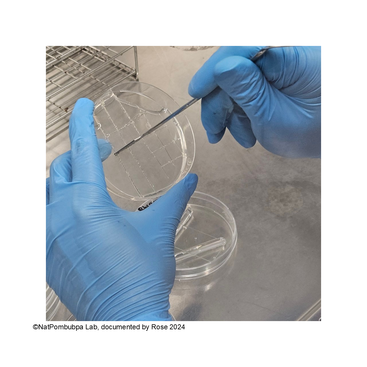 Figure 2. NatPombubpa Lab documentation