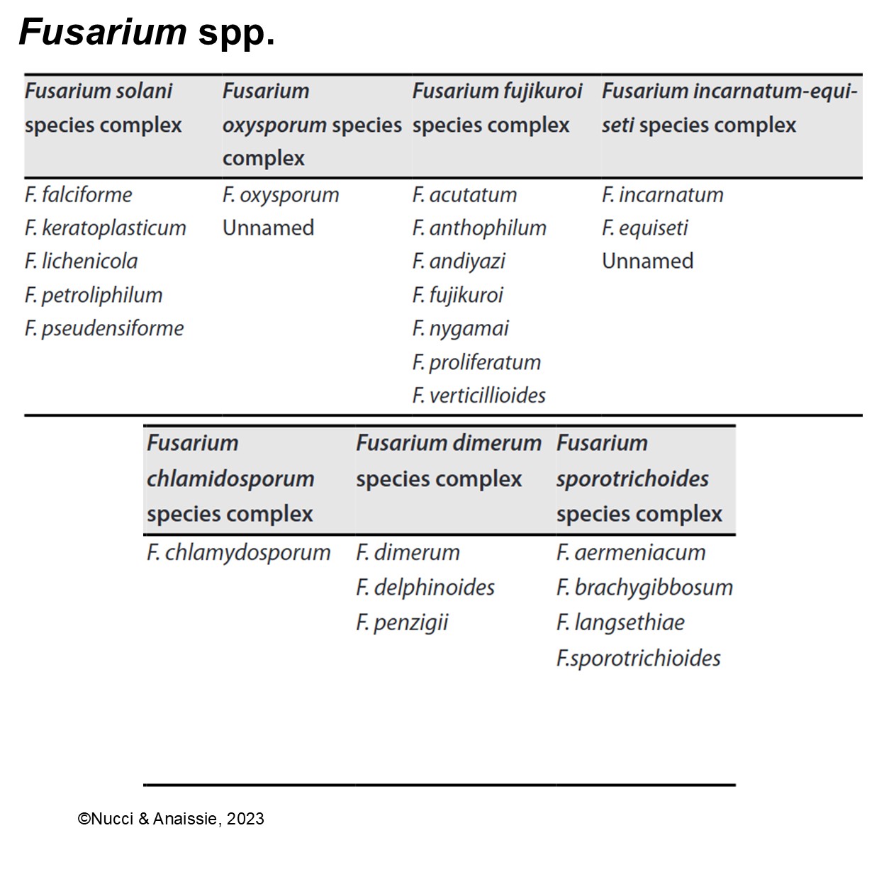 Figure 1. Fusarium spp. list
