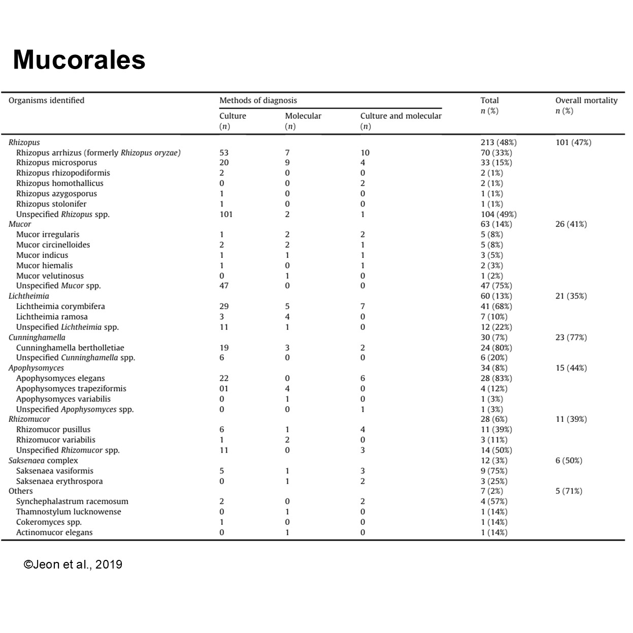 Figure 4. Mucorales list